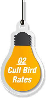 Cull Bird Rates