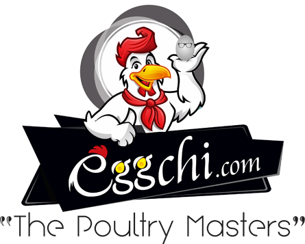 EggChi.com